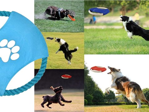 Zabawka dla psa gryzak szarpak sznur frisbee dysk Zabawka dla psa gryzak szarpak sznur frisbee dysk