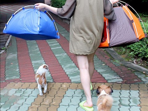 Namiot dla psa kota wodoodporny składany legowisko domek kojec przenośny Namiot dla psa kota wodoodporny składany legowisko domek kojec przenośny