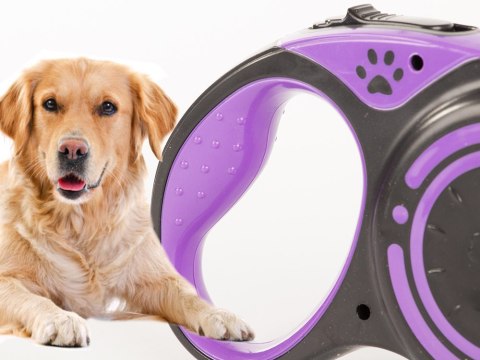 Smycz mocna automatyczna z blokadą dla psa taśma wytrzymała długa 5m 15kg Smycz mocna automatyczna z blokadą dla psa taśma wytrzymała długa 5m 15kg