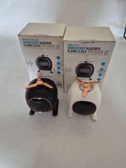 GŁOŚNIK BlUETOOTH (20)