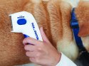 Elektryczny grzebień na pchły gęsty dla psa kota