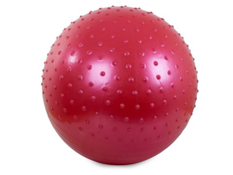 Piłka gimnastyczna fitness 55cm pompka do ćwiczeń Piłka gimnastyczna fitness 55cm pompka do ćwiczeń