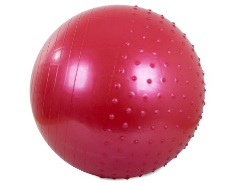 Piłka gimnastyczna fitness 55cm pompka do ćwiczeń Piłka gimnastyczna fitness 55cm pompka do ćwiczeń