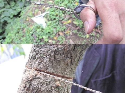 Piła ręczna strunowa druciana turystyczna survival Piła ręczna strunowa druciana turystyczna survival