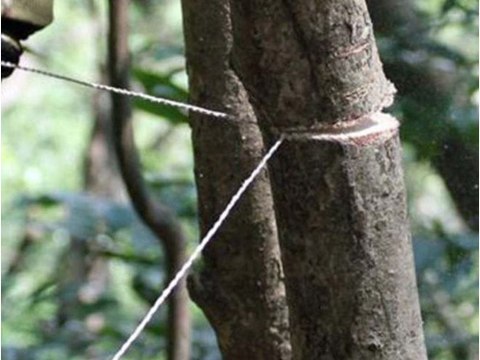 Piła ręczna strunowa druciana turystyczna survival Piła ręczna strunowa druciana turystyczna survival