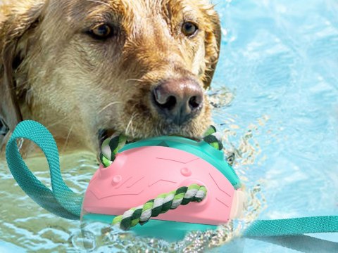 Zabawka dla psa frisbee piłka latająca dysk gryzak Zabawka dla psa frisbee piłka latająca dysk gryzak