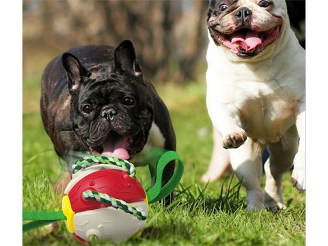 Zabawka dla psa frisbee piłka latająca dysk gryzak Zabawka dla psa frisbee piłka latająca dysk gryzak