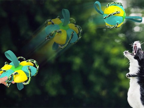 Zabawka dla psa frisbee piłka latająca dysk gryzak Zabawka dla psa frisbee piłka latająca dysk gryzak