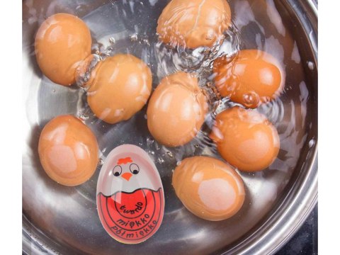 Minutnik kuchenny jajko do gotowania jajek timer Minutnik kuchenny jajko do gotowania jajek timer