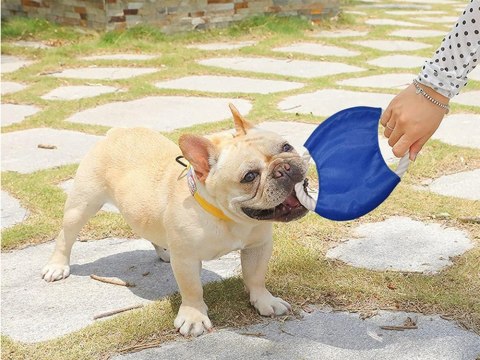 Zabawka dla psa gryzak szarpak sznur frisbee dysk Zabawka dla psa gryzak szarpak sznur frisbee dysk