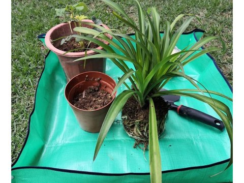 Duża mata do przesadzania sadzenia kwiatów roślin rozsad podkładka ogrodowa Duża mata do przesadzania sadzenia kwiatów roślin rozsad podkładka ogrodowa