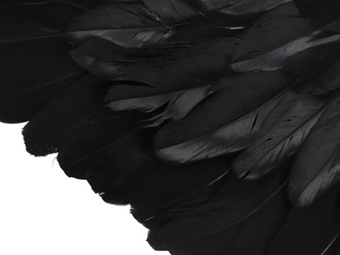 Skrzydła anioła z piór czarne strój bajkowy cosplay przebranie na halloween Skrzydła anioła z piór czarne strój bajkowy cosplay przebranie na halloween
