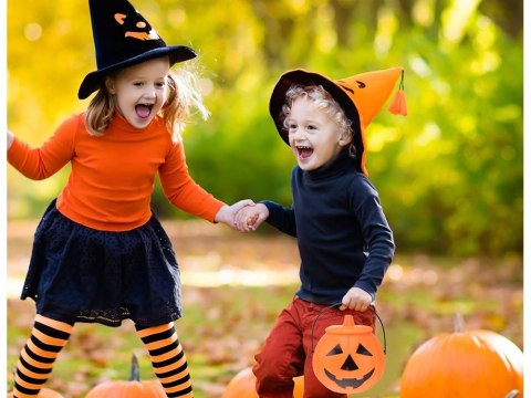 Wiaderko halloween pojemnik dynia na cukierki duże kociołek na słodycze Wiaderko halloween pojemnik dynia na cukierki duże kociołek na słodycze