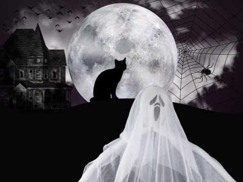 Dekoracja halloween wisząca ozdoba duch biała krzyk szkielet zjawa 65cm Dekoracja halloween wisząca ozdoba duch biała krzyk szkielet zjawa 65cm