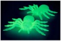 Pająk halloween 2 szt duże dekoracja straszne pająki 11cm fluorescencyjny