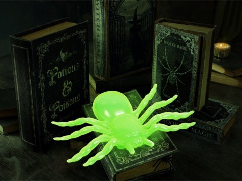 Pająk halloween 2 szt duże dekoracja straszne pająki 11cm fluorescencyjny Pająk halloween 2 szt duże dekoracja straszne pająki 11cm fluorescencyjny