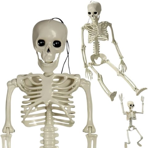 Szkielet człowieka wiszący 40cm dekoracja halloween kościotrup sztuczny Szkielet człowieka wiszący 40cm dekoracja halloween kościotrup sztuczny