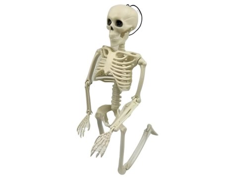 Szkielet człowieka wiszący 40cm dekoracja halloween kościotrup sztuczny Szkielet człowieka wiszący 40cm dekoracja halloween kościotrup sztuczny