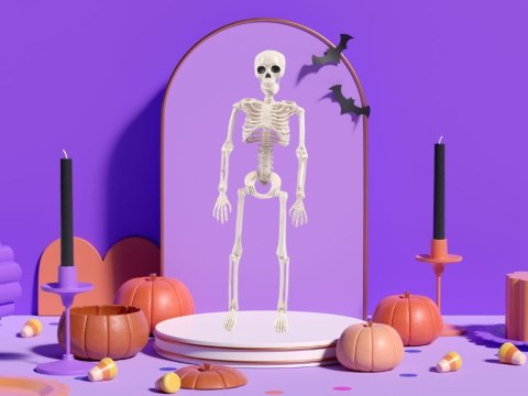 Szkielet człowieka wiszący 40cm dekoracja halloween kościotrup sztuczny Szkielet człowieka wiszący 40cm dekoracja halloween kościotrup sztuczny