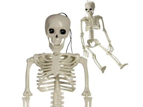Szkielet człowieka wiszący 40cm dekoracja halloween kościotrup sztuczny Szkielet człowieka wiszący 40cm dekoracja halloween kościotrup sztuczny