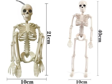 Szkielet człowieka wiszący 40cm dekoracja halloween kościotrup sztuczny Szkielet człowieka wiszący 40cm dekoracja halloween kościotrup sztuczny