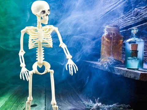 Szkielet człowieka wiszący 40cm dekoracja halloween kościotrup sztuczny Szkielet człowieka wiszący 40cm dekoracja halloween kościotrup sztuczny