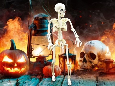 Szkielet człowieka wiszący 40cm dekoracja halloween kościotrup sztuczny Szkielet człowieka wiszący 40cm dekoracja halloween kościotrup sztuczny