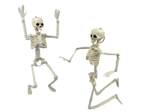 Szkielet człowieka wiszący 40cm dekoracja halloween kościotrup sztuczny Szkielet człowieka wiszący 40cm dekoracja halloween kościotrup sztuczny
