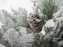 Choinka sztuczna śnieg mała 45cm ozdobna na biurko stół gęsta ośnieżona