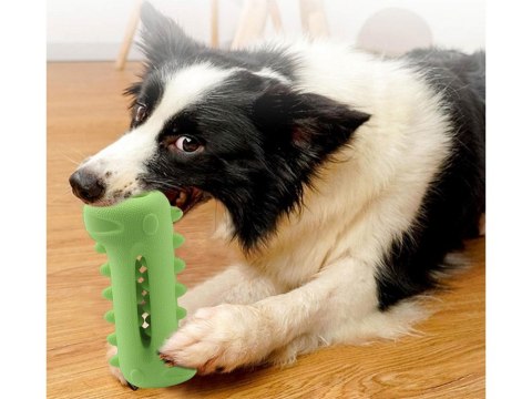 Gryzak dla psa czyszczenie zębów dentystyczny zabawka dla psa na smaczki Gryzak dla psa czyszczenie zębów dentystyczny zabawka dla psa na smaczki