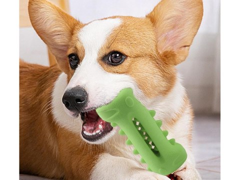 Gryzak dla psa czyszczenie zębów dentystyczny zabawka dla psa na smaczki Gryzak dla psa czyszczenie zębów dentystyczny zabawka dla psa na smaczki