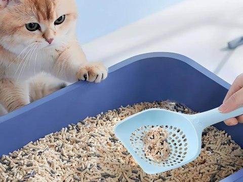 Łopatka do kuwety kota duża szpatułka do żwirku plastikowa wytrzymała Łopatka do kuwety kota duża szpatułka do żwirku plastikowa wytrzymała