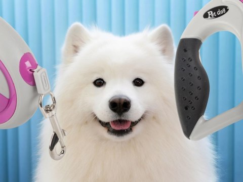 Smycz automatyczna 5m mocna dla psa do 20kg z blokadą wytrzymała długa Smycz automatyczna 5m mocna dla psa do 20kg z blokadą wytrzymała długa