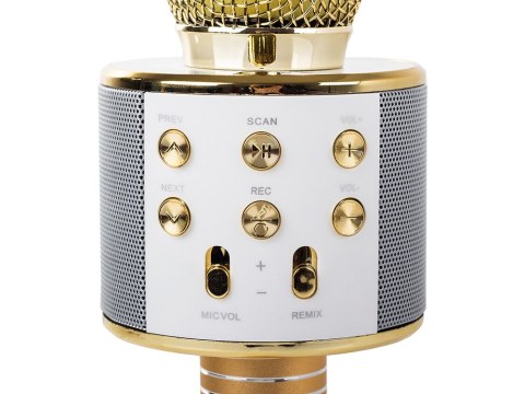 Mikrofon bezprzewodowy bluetooth głośnik karaoke okrągły z etui różne tryby Mikrofon bezprzewodowy bluetooth głośnik karaoke okrągły z etui różne tryby