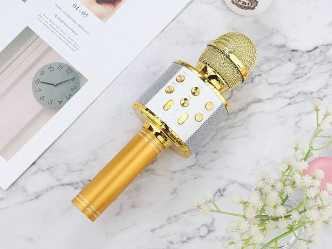 Mikrofon bezprzewodowy bluetooth głośnik karaoke okrągły z etui różne tryby Mikrofon bezprzewodowy bluetooth głośnik karaoke okrągły z etui różne tryby