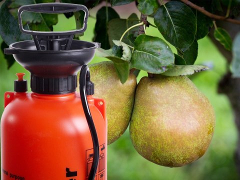 OPRYSKIWACZ CIŚNIENIOWY RĘCZNY OGRODOWY SPRYSKIWACZ DŁUGA LANCA 5L PASEK OPRYSKIWACZ CIŚNIENIOWY RĘCZNY OGRODOWY SPRYSKIWACZ DŁUGA LANCA 5L PASEK