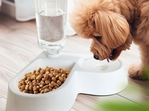 Podwójna miska 2w1 na karmię i wodę z zbiornikiem 500 ml dla psa kota Podwójna miska 2w1 na karmię i wodę z zbiornikiem 500 ml dla psa kota