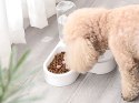 Podwójna miska 2w1 na karmię i wodę z zbiornikiem 500 ml dla psa kota