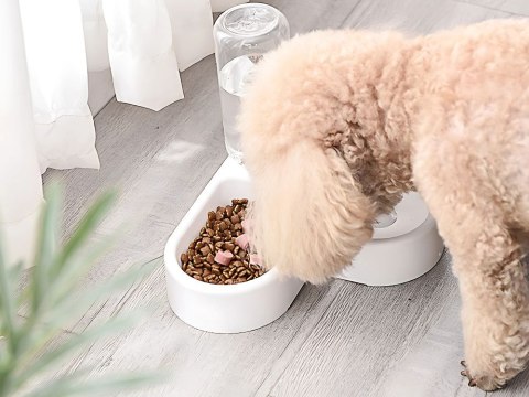Podwójna miska 2w1 na karmię i wodę z zbiornikiem 500 ml dla psa kota Podwójna miska 2w1 na karmię i wodę z zbiornikiem 500 ml dla psa kota