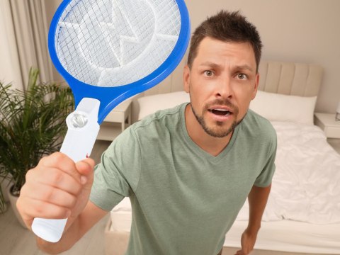 Elektryczna paletka do łapania much łapka packa na muchy komary ćmy muszki Elektryczna paletka do łapania much łapka packa na muchy komary ćmy muszki