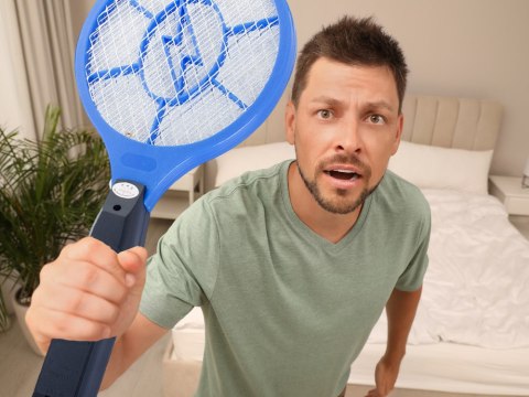 Elektryczna paletka do łapania much łapka packa na muchy komary ćmy muszki Elektryczna paletka do łapania much łapka packa na muchy komary ćmy muszki