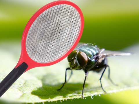 Elektryczna paletka do łapania much łapka packa na muchy komary ćmy muszki Elektryczna paletka do łapania much łapka packa na muchy komary ćmy muszki