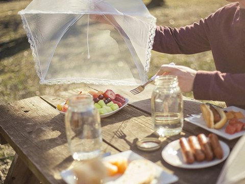 Moskitiera osłona siatka na jedzenie owoce grill ochrona przed owadami 40cm Moskitiera osłona siatka na jedzenie owoce grill ochrona przed owadami 40cm
