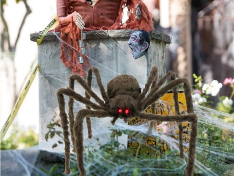 Pająk halloween gigant olbrzym tarantula dekoracja Pająk halloween gigant olbrzym tarantula dekoracja
