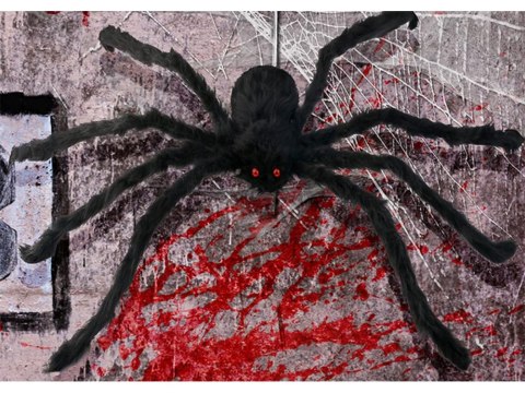 Pająk halloween gigant olbrzym tarantula dekoracja Pająk halloween gigant olbrzym tarantula dekoracja