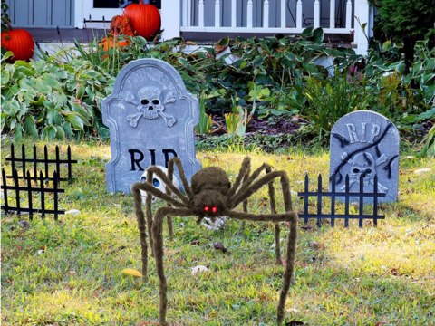 Pająk halloween gigant olbrzym tarantula dekoracja Pająk halloween gigant olbrzym tarantula dekoracja