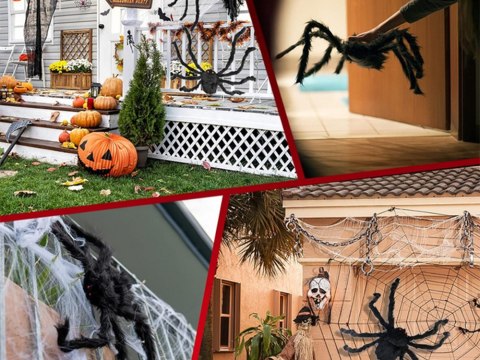 Pająk halloween gigant olbrzym tarantula dekoracja Pająk halloween gigant olbrzym tarantula dekoracja