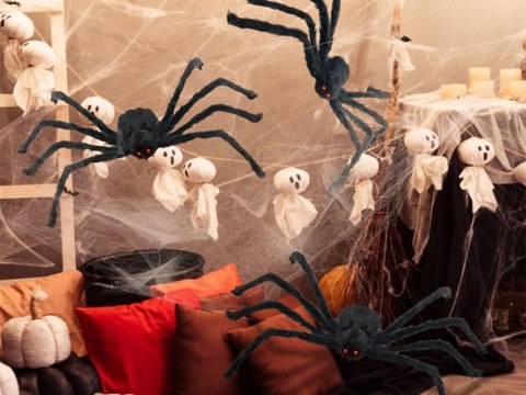 Pająk halloween gigant olbrzym tarantula dekoracja Pająk halloween gigant olbrzym tarantula dekoracja