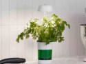 Lampa panel do uprawy wzrostu roślin 6 led 4 uv doniczka samonawadniająca