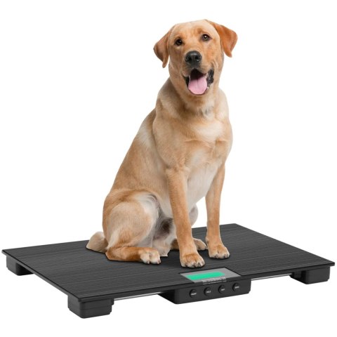 WAGA PLATFORMOWA WETERYNARYJNA DLA ZWIERZĄT 63 X 40 CM 30 KG / 10 G WAGA PLATFORMOWA WETERYNARYJNA DLA ZWIERZĄT 63 X 40 CM 30 KG / 10 G
